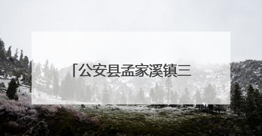 公安县孟家溪镇三袁村：文明花开 绘就和美乡村新画卷