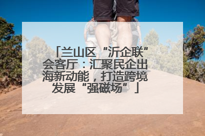 兰山区“沂企联”会客厅：汇聚民企出海新动能，打造跨境发展“强磁场”