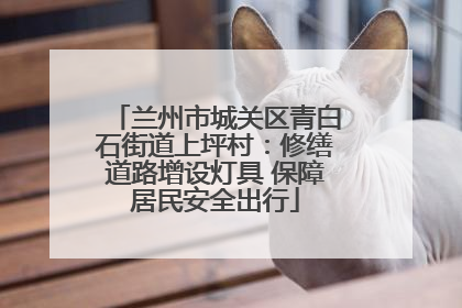 兰州市城关区青白石街道上坪村：修缮道路增设灯具 保障居民安全出行