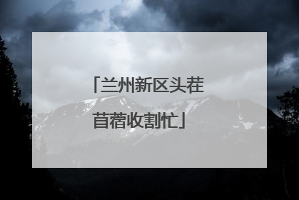 兰州新区头茬苜蓿收割忙
