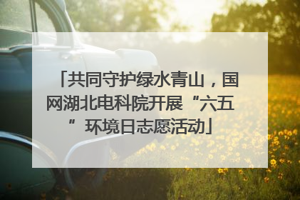 共同守护绿水青山，国网湖北电科院开展“六五”环境日志愿活动