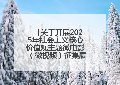 关于开展2025年社会主义核心价值观主题微电影（微视频）征集展示活动的公告