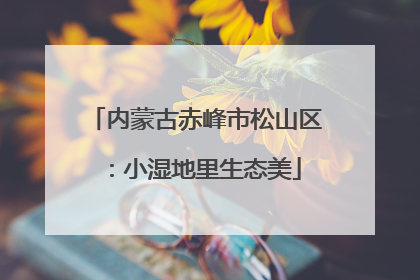 内蒙古赤峰市松山区：小湿地里生态美