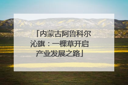 内蒙古阿鲁科尔沁旗：一棵草开启产业发展之路