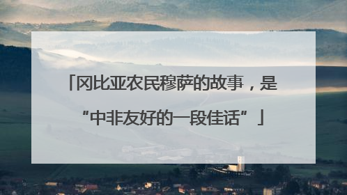 冈比亚农民穆萨的故事，是“中非友好的一段佳话”