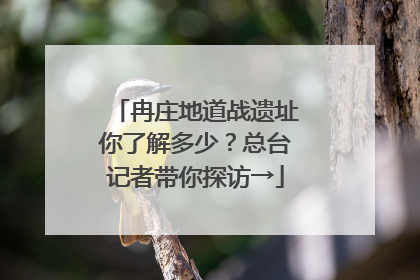 冉庄地道战遗址你了解多少？总台记者带你探访→