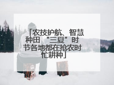 农技护航、智慧种田 “三夏”时节各地都在抢农时 忙耕种