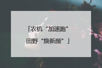 农机“加速跑” 田野“焕新颜”