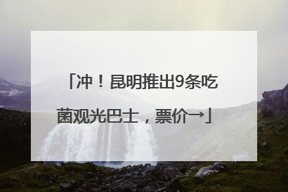冲！昆明推出9条吃菌观光巴士，票价→