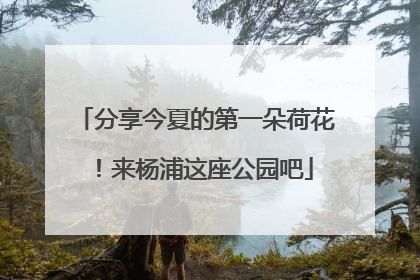 分享今夏的第一朵荷花！来杨浦这座公园吧