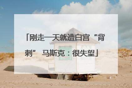 刚走一天就遭白宫“背刺” 马斯克：很失望