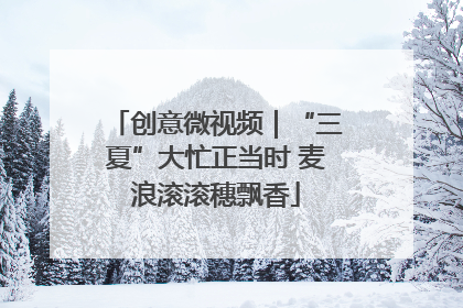 创意微视频｜“三夏”大忙正当时 麦浪滚滚穗飘香