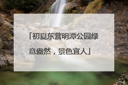 初夏东营明潭公园绿意盎然，景色宜人