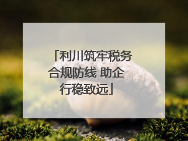 利川筑牢税务合规防线 助企行稳致远