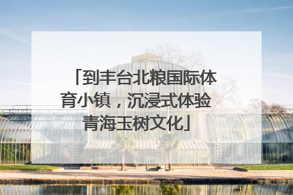 到丰台北粮国际体育小镇，沉浸式体验青海玉树文化