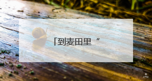 到麦田里“上学”去