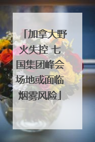 加拿大野火失控 七国集团峰会场地或面临烟雾风险
