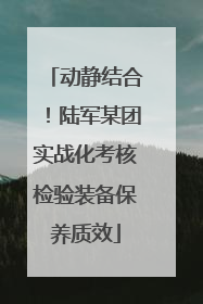 动静结合！陆军某团实战化考核检验装备保养质效