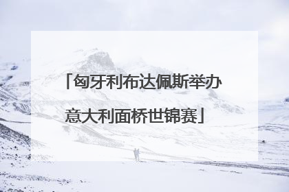 匈牙利布达佩斯举办意大利面桥世锦赛