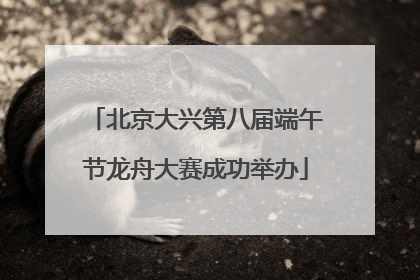 北京大兴第八届端午节龙舟大赛成功举办