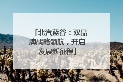 北汽蓝谷：双品牌战略领航，开启发展新征程