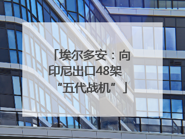埃尔多安：向印尼出口48架“五代战机”