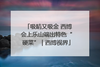 吸睛又吸金 西博会上乐山端出特色“硬菜”｜西博视界