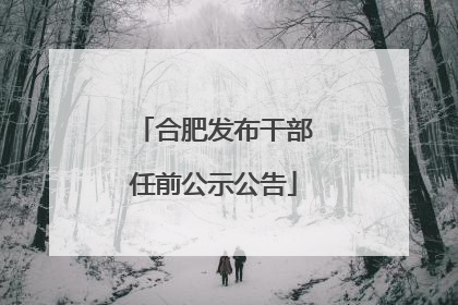 合肥发布干部任前公示公告