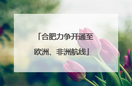 合肥力争开通至欧洲、非洲航线