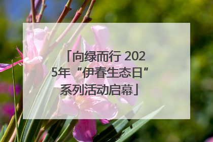 向绿而行 2025年“伊春生态日”系列活动启幕