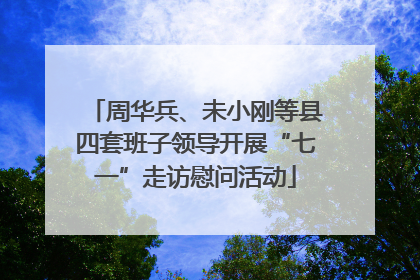 周华兵、未小刚等县四套班子领导开展“七一”走访慰问活动