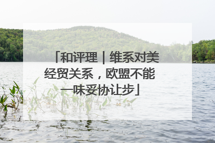 和评理｜维系对美经贸关系，欧盟不能一味妥协让步
