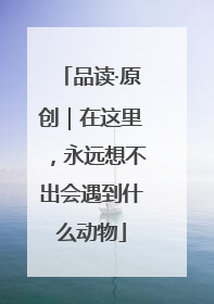 品读·原创｜在这里，永远想不出会遇到什么动物