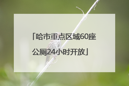 哈市重点区域60座公厕24小时开放