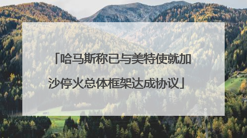 哈马斯称已与美特使就加沙停火总体框架达成协议