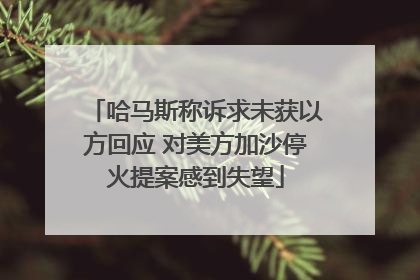 哈马斯称诉求未获以方回应 对美方加沙停火提案感到失望