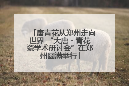 唐青花从郑州走向世界 “大唐・青花瓷学术研讨会”在郑州圆满举行