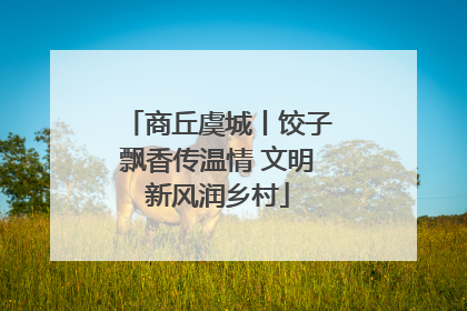 商丘虞城丨饺子飘香传温情 文明新风润乡村