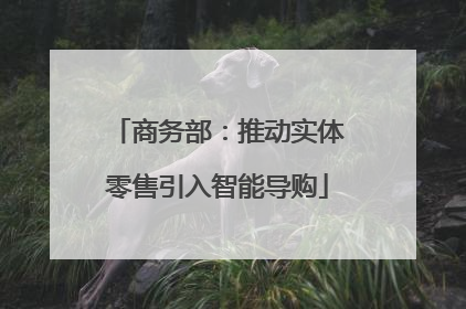 商务部：推动实体零售引入智能导购