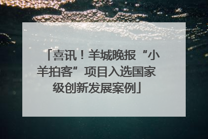 喜讯！羊城晚报“小羊拍客”项目入选国家级创新发展案例