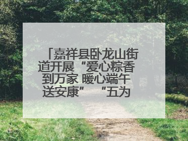 嘉祥县卧龙山街道开展“爱心粽香到万家 暖心端午送安康” “五为”志愿服务活动