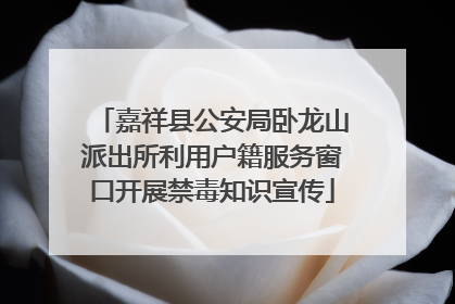 嘉祥县公安局卧龙山派出所利用户籍服务窗口开展禁毒知识宣传