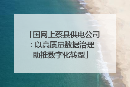 国网上蔡县供电公司：以高质量数据治理 助推数字化转型