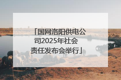 国网洛阳供电公司2025年社会责任发布会举行