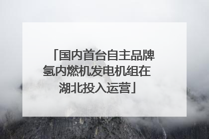 国内首台自主品牌氢内燃机发电机组在湖北投入运营