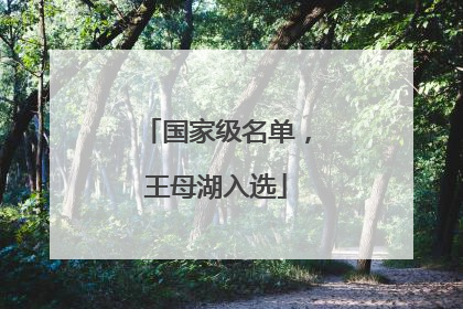 国家级名单，王母湖入选