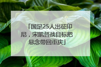 国足25人出征印尼，宋凯督战目标把悬念带回重庆