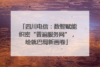 四川电信：数智赋能织密“普遍服务网”，绘就巴蜀新画卷