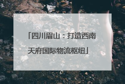 四川眉山：打造西南天府国际物流枢纽