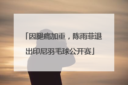 因腿痛加重，陈雨菲退出印尼羽毛球公开赛